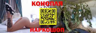 сатива Будённовск