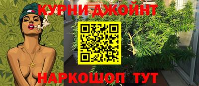 сатива Будённовск