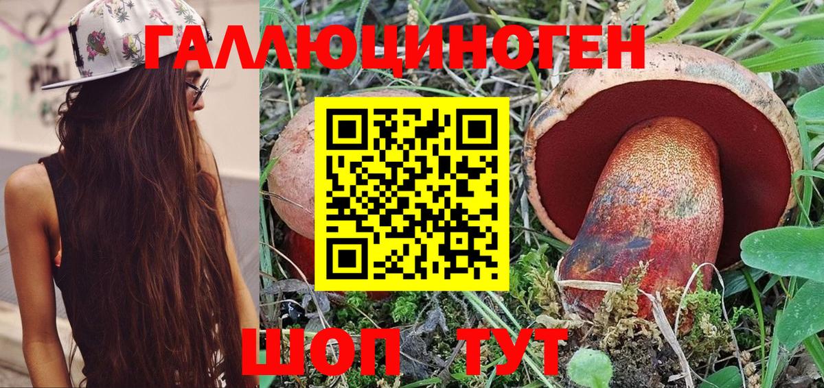 Псилоцибиновые грибы прущие грибы Серов